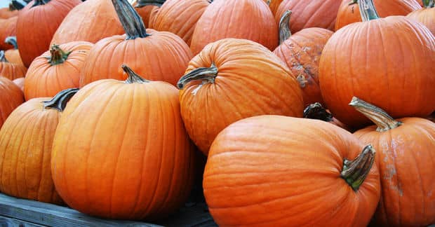 7 Things You Can Do With a  Pumpkin Besides Carve It!