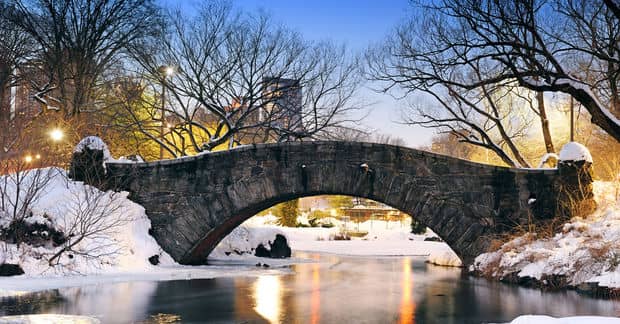 7 Natural Therapies for the Seasonal Blues