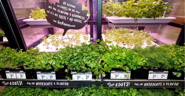 Greens Grown at Your Supermarket is Food as Local as it Gets