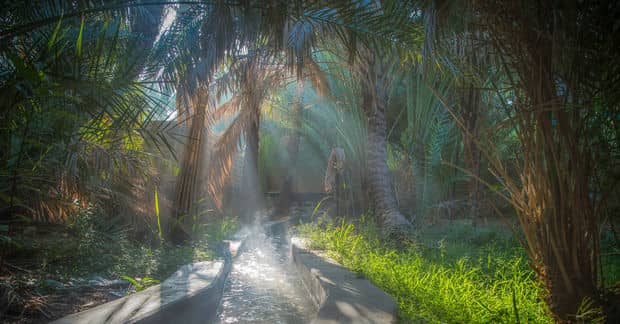 Making the Egyptian Desert Bloom Using Recycled Water