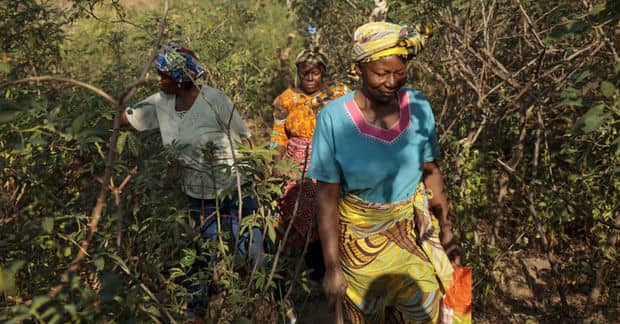 Women Involved in Business Initiatives Are Thriving