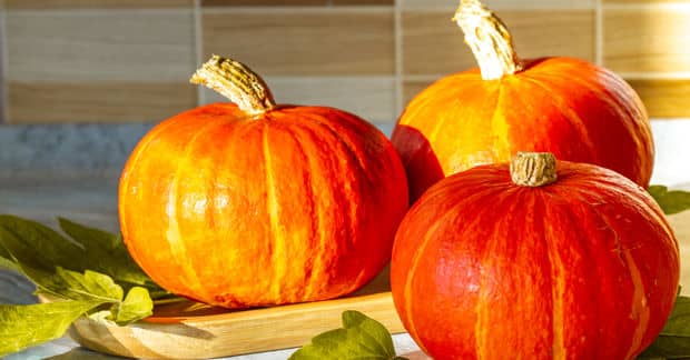 7 Hearty Pumpkin Recipes to Try