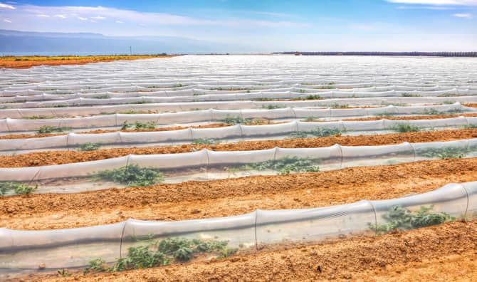 Israel has used a wide variety of innovative methods to conserve water.