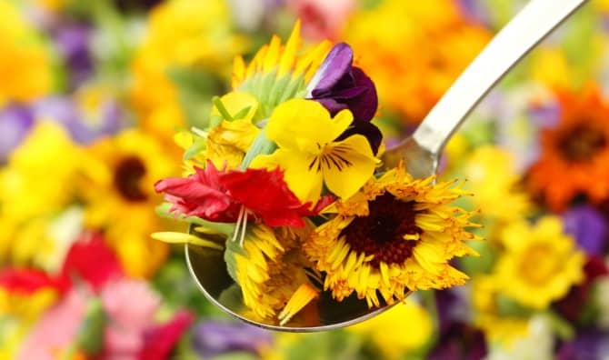 Edible flowers can be used in many dishes.