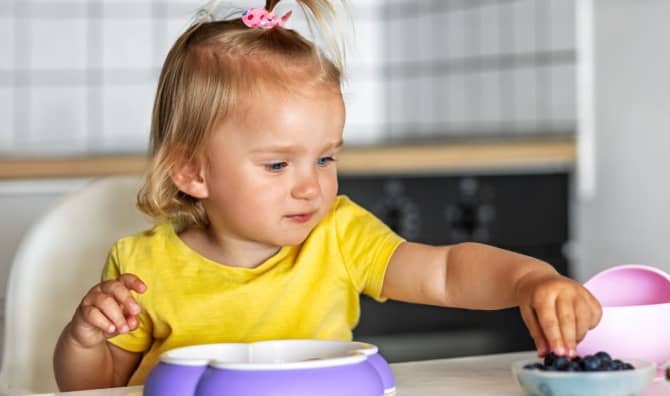 Toddler eating blueberries.