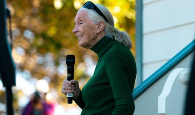 Jane Goodall.