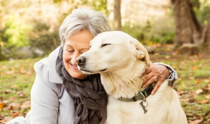 Pets help seniors with physical, emotional, and cognitive wellbeing