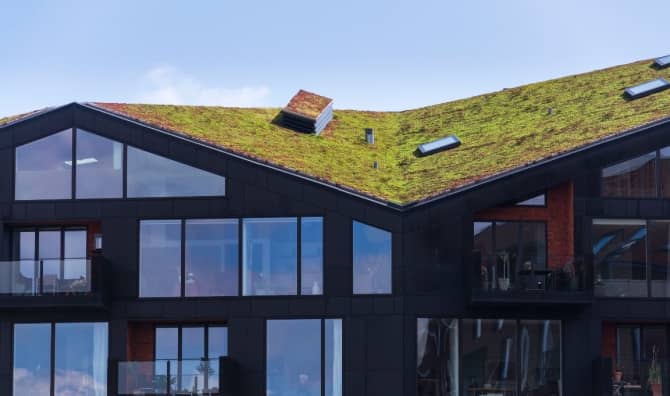 Green ecological sod roof on modern city building covered with vegetation.