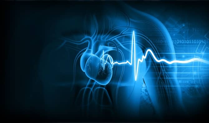 An illustration of a human heart with an ECG (electrocardiogram) graph.