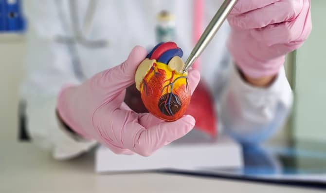 Cardiologist explaining heart disease to a patient.