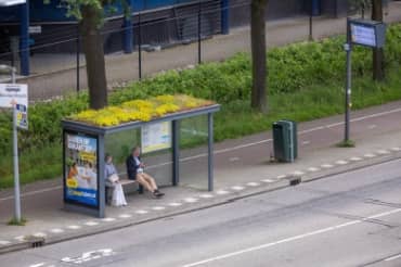 Green-Roofed Bus Stops are Blooming Around the World