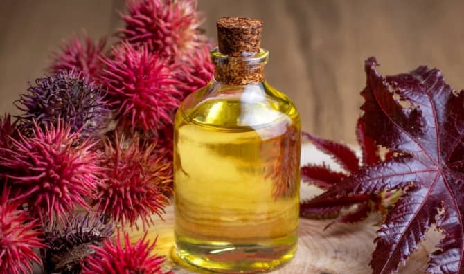 Castor oil bottle with castor fruits, seeds, and leaf.