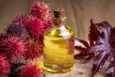 5 Health Benefits of Castor Oil