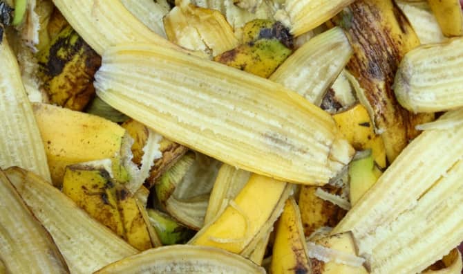 A close up of banana peel.