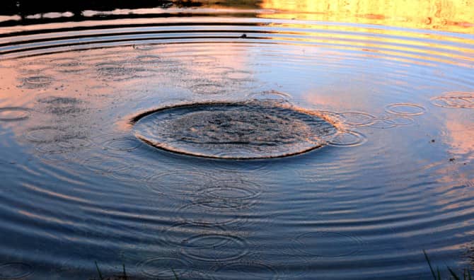 How Being Kind to the Unkind Sends Ripples of Positivity Around the World