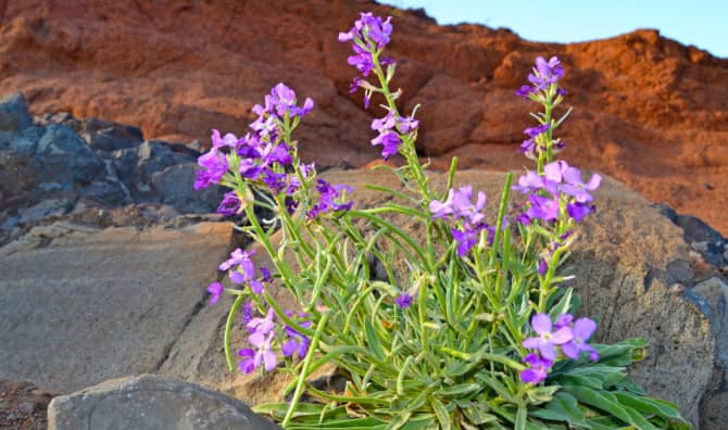 5 Ways to Strengthen Resilience