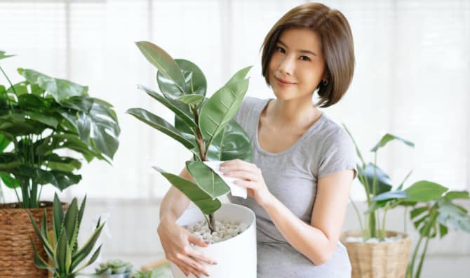 Houseplant Parenting is More Than Just a Trend