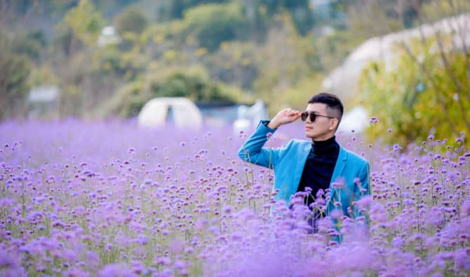 Rewilding: When Cities Make Room for Nature