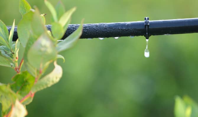 An Irrigation System That Can Talk to Plants!