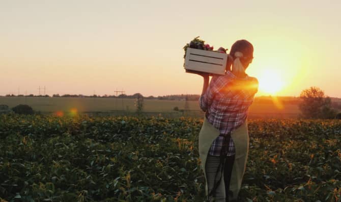 No Groceries For a Year