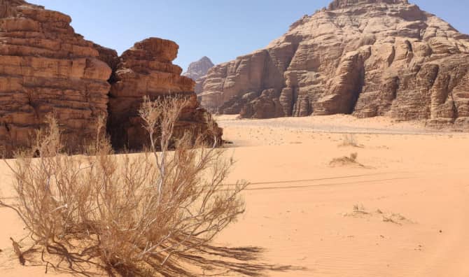 New Startup Creates Water from the Desert Air