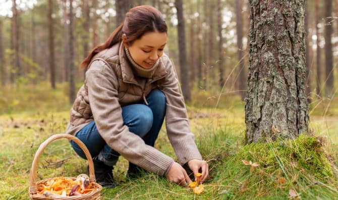 Food Forests are Dotting American Cities