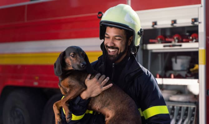 Adorable Dog Becomes a Firehouse Mascot