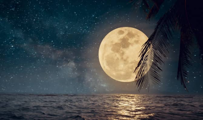 How to Use the Moon’s Phases to Live Your Best Life