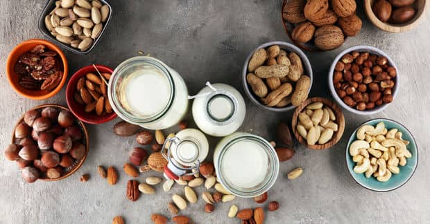 The Popularity of Vegan Dairy Alternatives Is Rapidly Rising