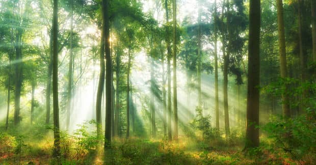 4 Ways to Get Past a Down Day