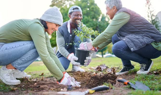 New York Launches an Interactive Tree Tracker
