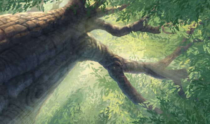 15 Inspirational Quotes About Trees