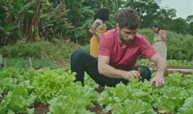 Farm Life in the Urban Grit