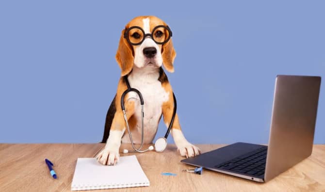 Israeli Startup Trains Dogs to Sniff Out Cancer