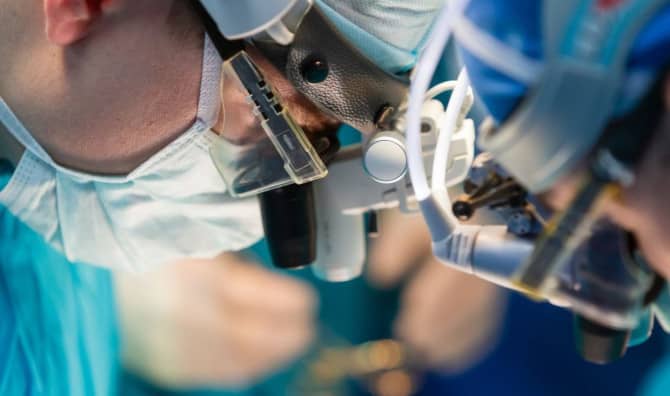 Israeli Researchers Grow a Kidney in a Lab