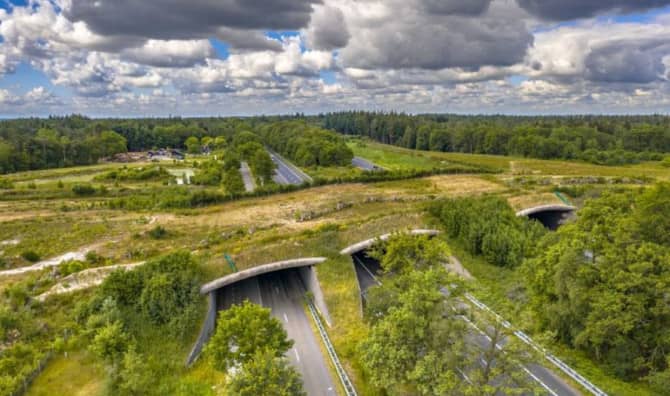 ‘World’s Largest’ Wildlife Bridge Reaches a Construction Milestone
