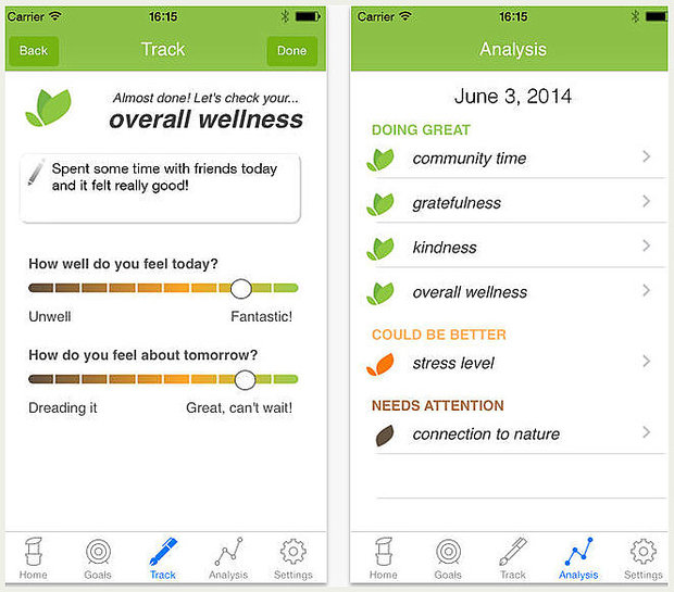 Wellness tracking app screenshots showing mood input sliders and analysis of wellness categories including community time, gratitude, kindness, stress level, and connection to nature with green leaf icons.