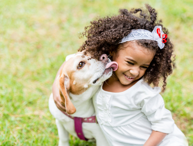 dog licking a little girl's face