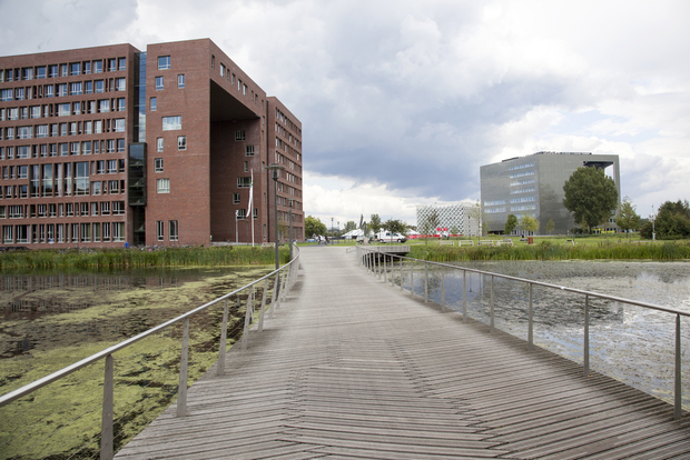 Wageningen University over the bridge, Modern waterfront development with wooden boardwalk, red brick apartment buildings, glass structures, and natural wetland areas along a canal.