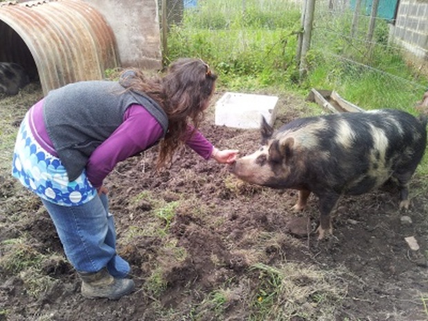 photo WWOOFer in the UK getting acquainted with the farm life