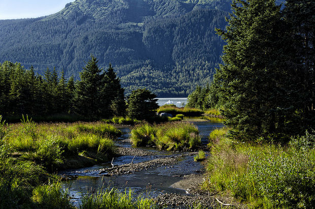 Mountain stream flowing through green valley with forested hills and rocky peaks in background under blue sky.