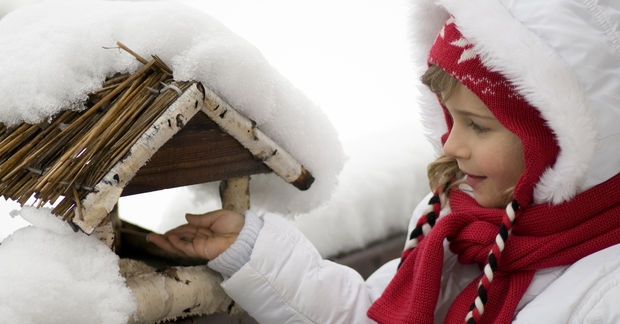 Child feeding birds at snowy bird feeder outdoors.
