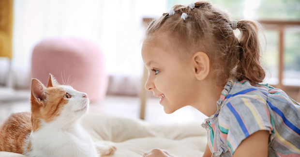 A smiling young girl with pigtails faces an orange-and-white cat nose to nose on a soft surface at home.