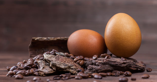 photo eggs and coffee beans