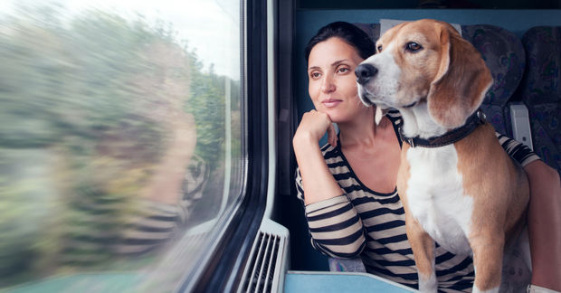 photo Woman with beagle dog sitting by train window, countryside blurred in motion outside during travel journey.