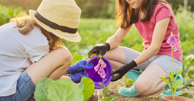photo Two people gardening together outdoors.