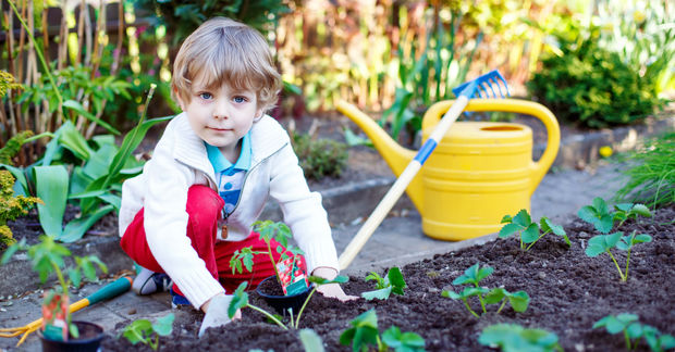 Young child planting seedlings in a garden bed with a yellow watering can and green vegetables visible in the background.