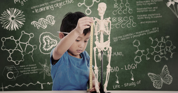 Child thinking with hand on head in front of a chalkboard covered with educational drawings including a skeleton, molecules, DNA, and science formulas.