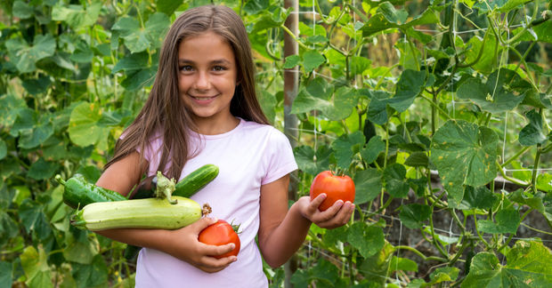 Girl holding freshly harvested zucchini and tomatoes in a home vegetable garden, smiling among green plants.