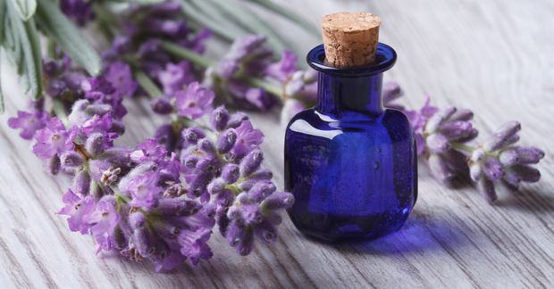 photo A small blue glass bottle with a cork stopper surrounded by fresh lavender sprigs on a light wooden surface.